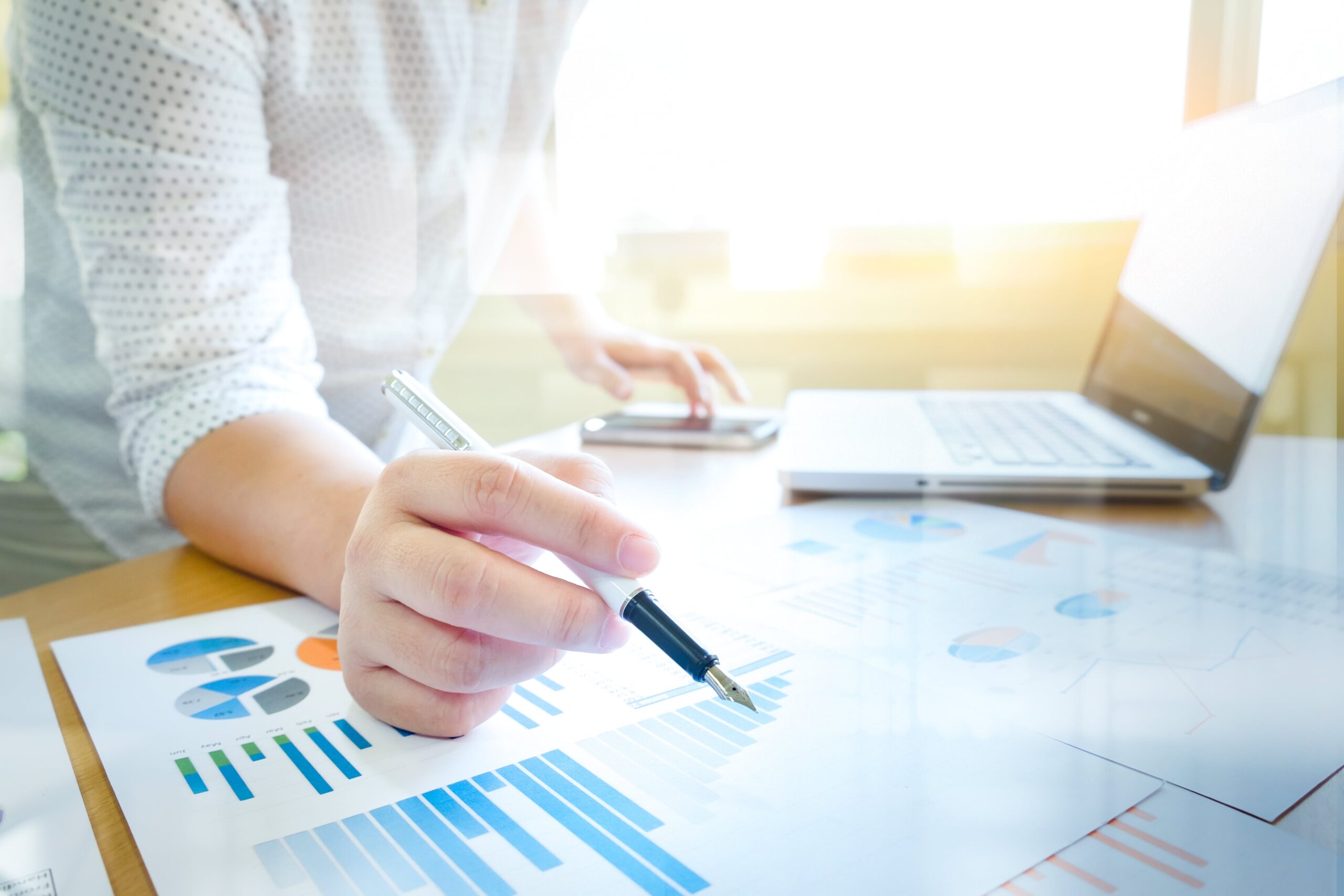Software gestionali